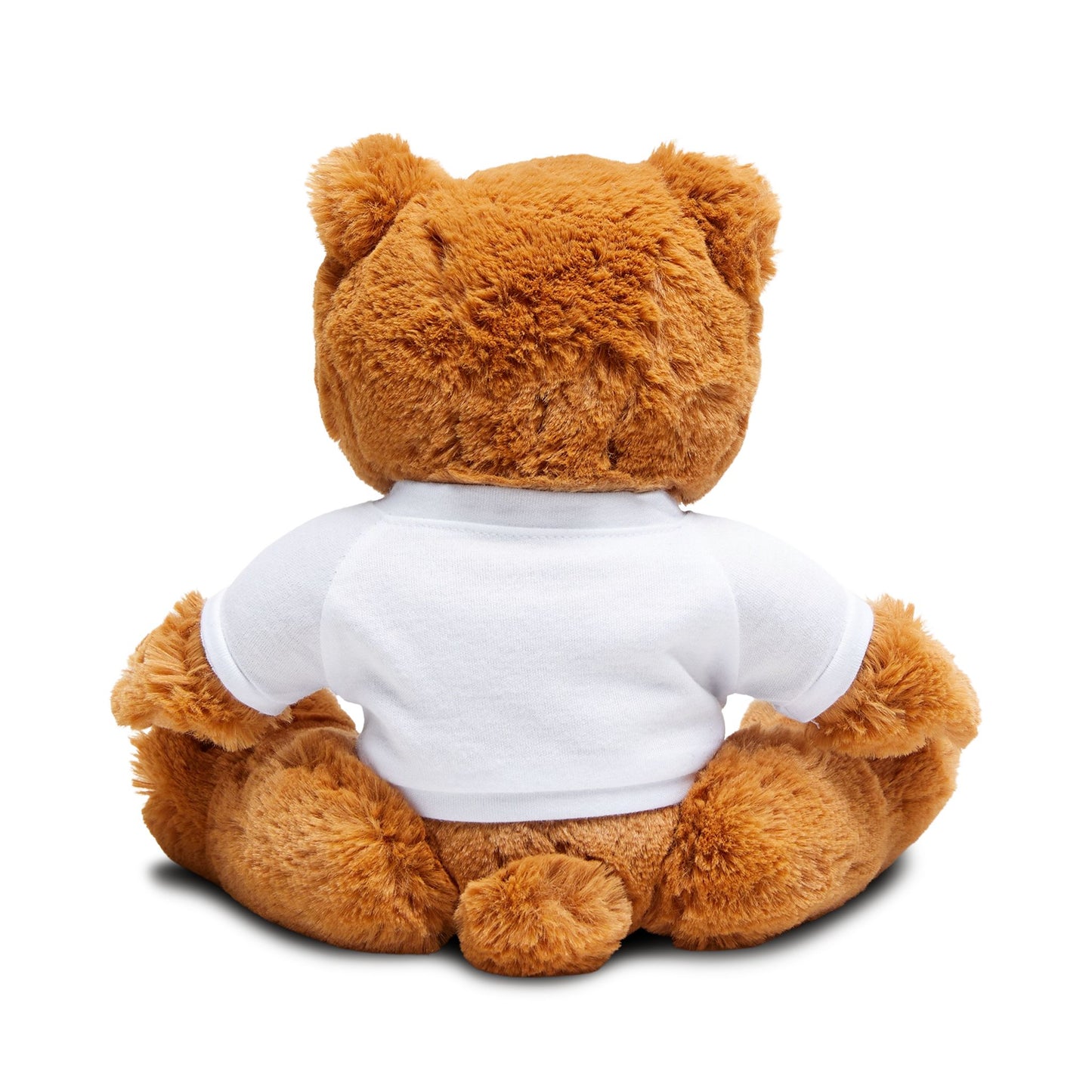Ultralytics Teddy Bear