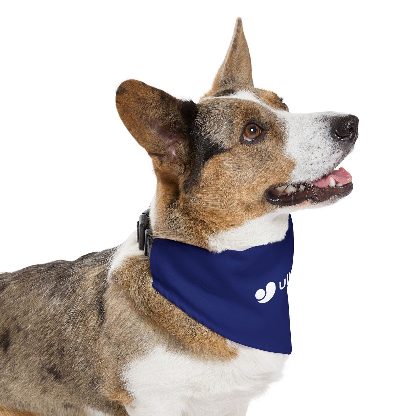 Ultralytics Pet Bandana