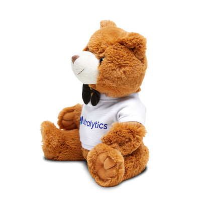 Ultralytics Teddy Bear