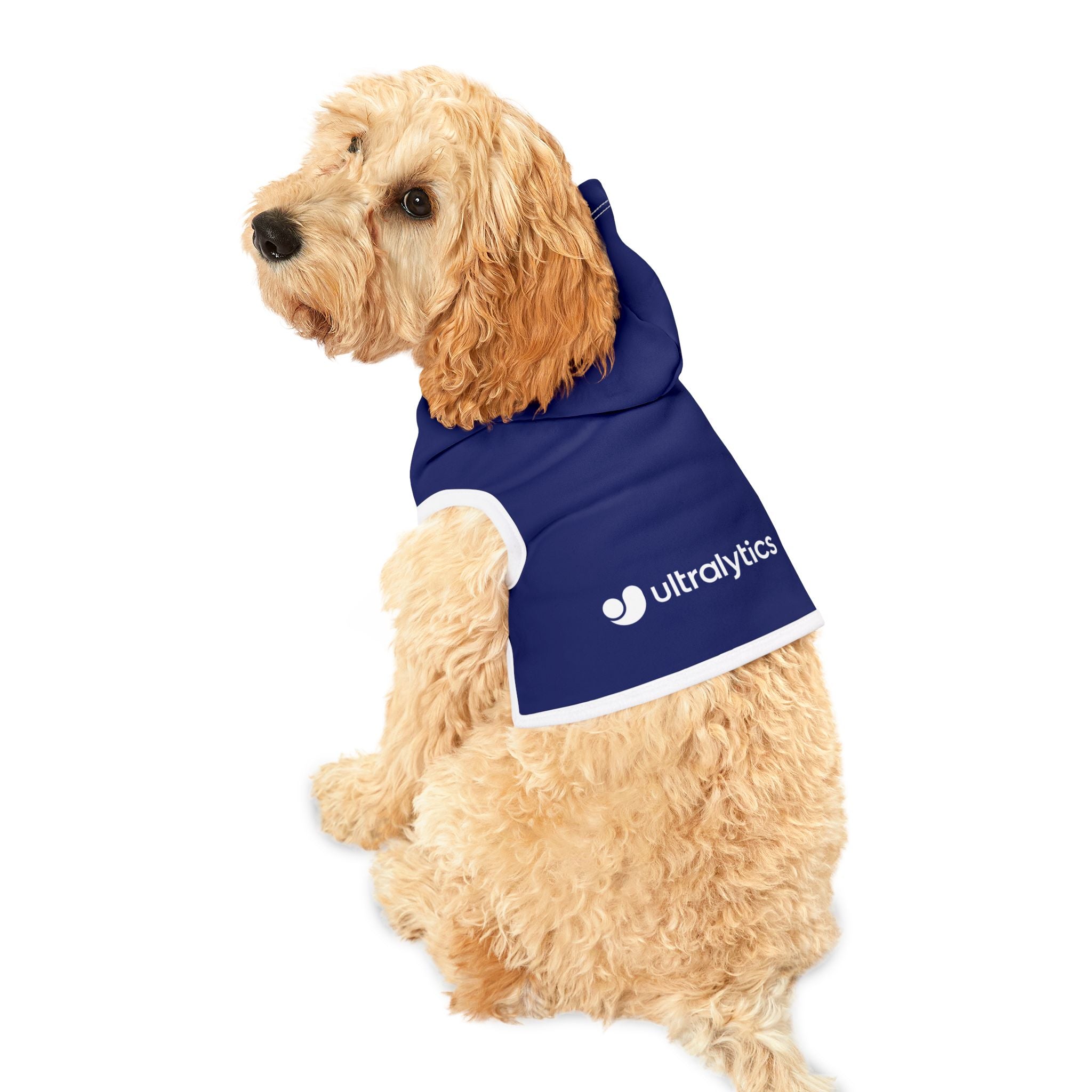 Ultralytics Pet Hoodie