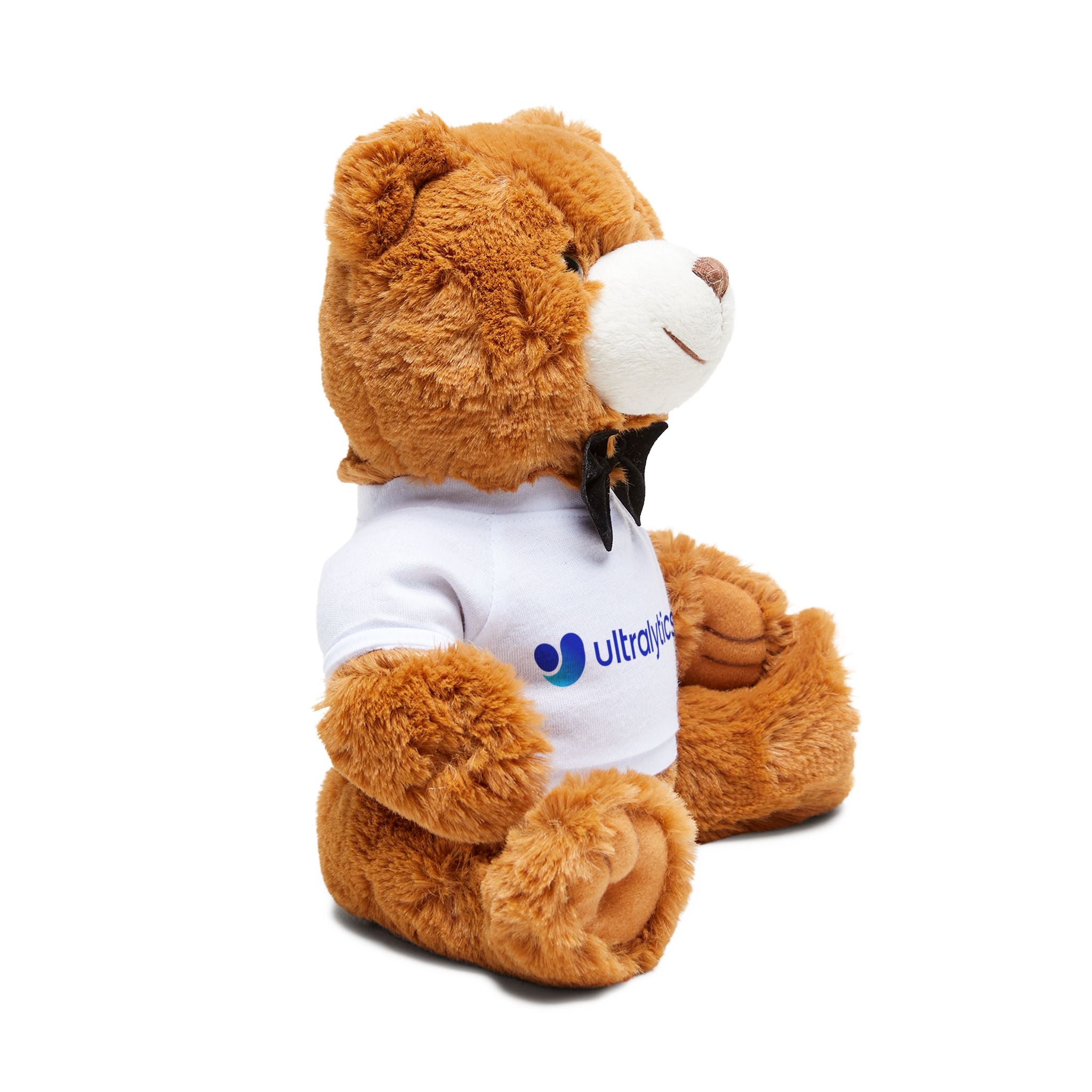 Ultralytics Teddy Bear